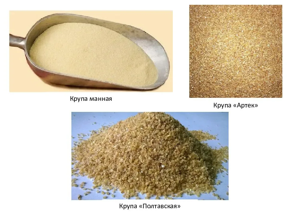 Продукты переработки зерна. Манная крупа зерно. Переработка зерна в муку. Пшеничная манная крупа.