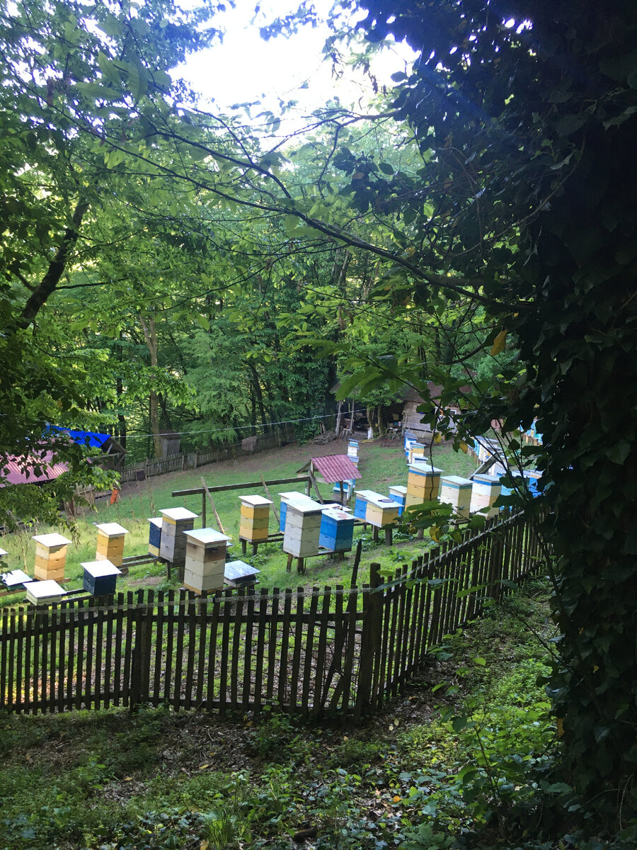 Фото из личного архива автора