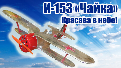 Модель самолета И-153 «Чайка» / Красава в небе / ALNADO