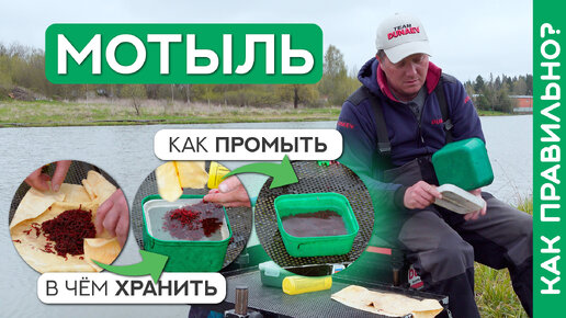 В чём хранить и как промыть мотыля?