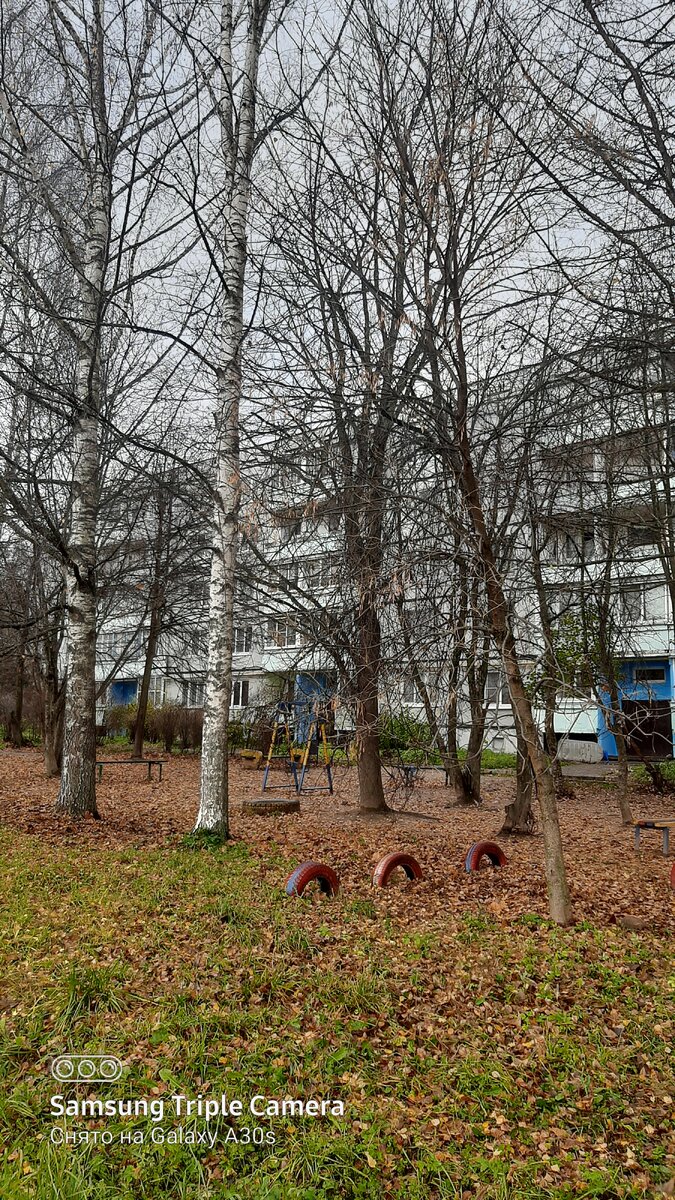 Фото автора.