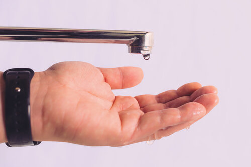 Фото - официальный микросток.