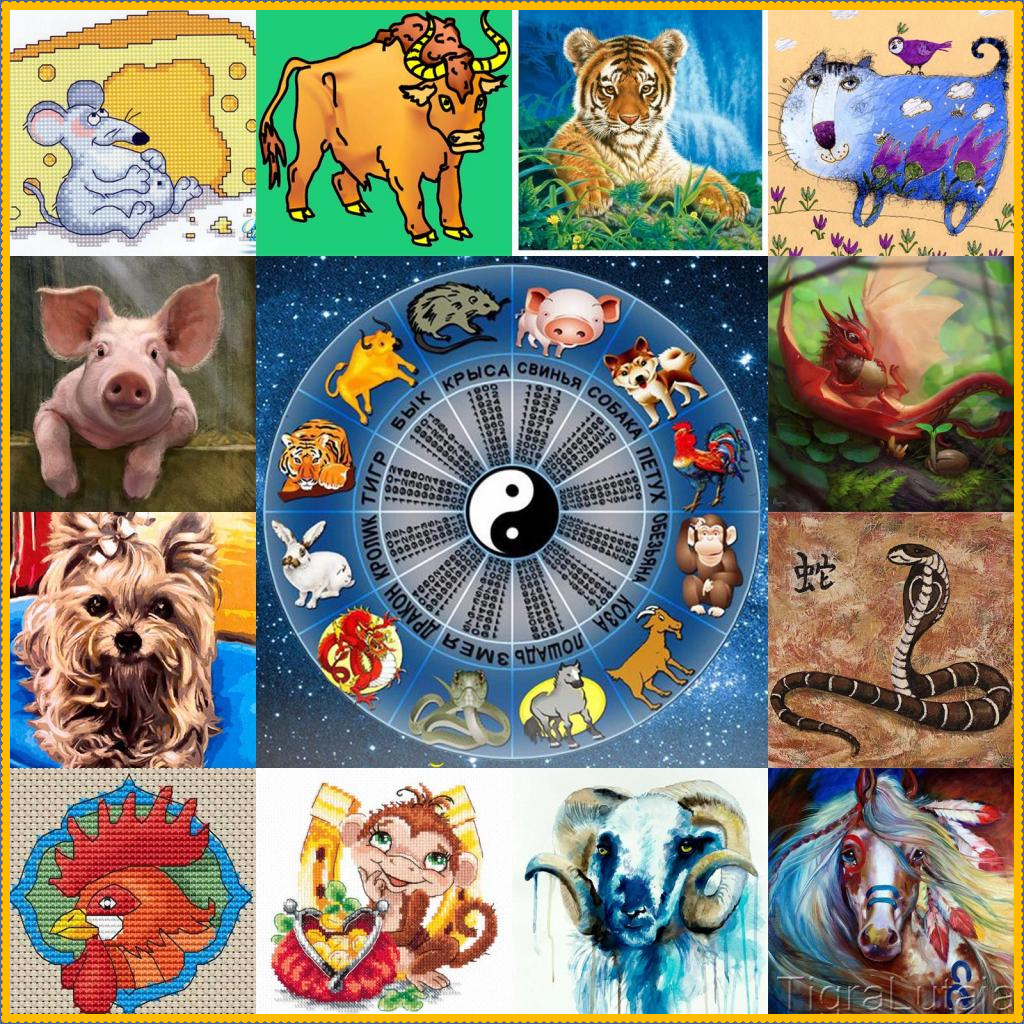 12 летний Восточный Цикл начинается с Крысы и заканчивается Кабаном