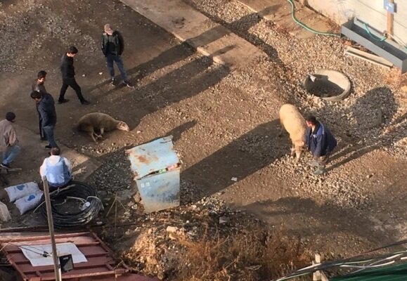 Фото: «Плохие новости Крым. Севастополь. Симферополь»/Вконтакте
