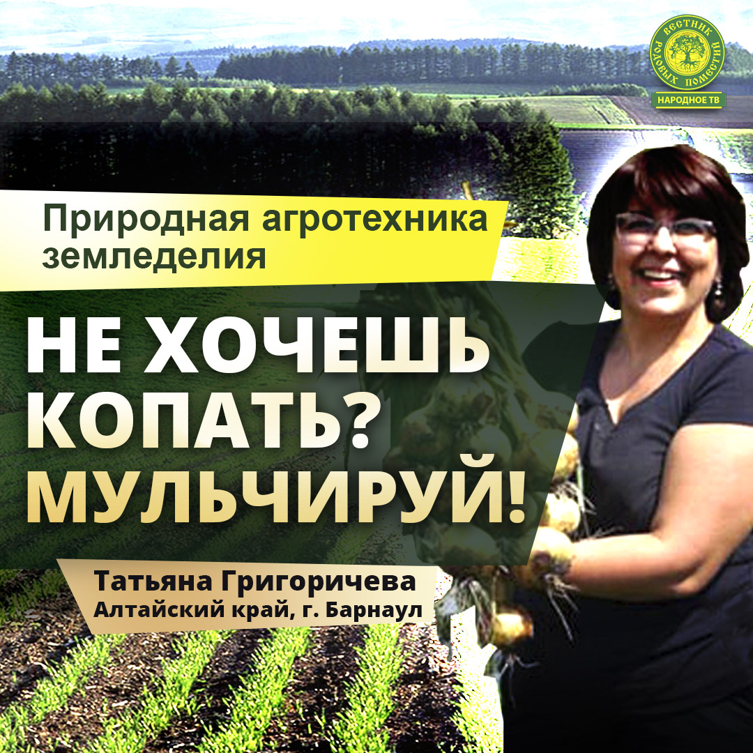 Не хочешь копать? Мульчируй!