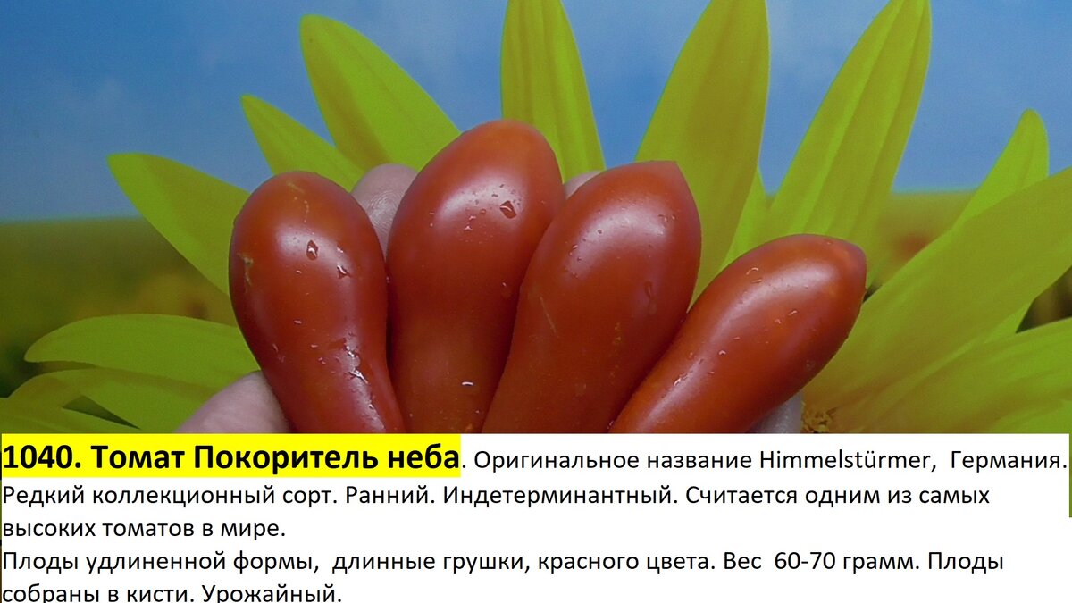 -186