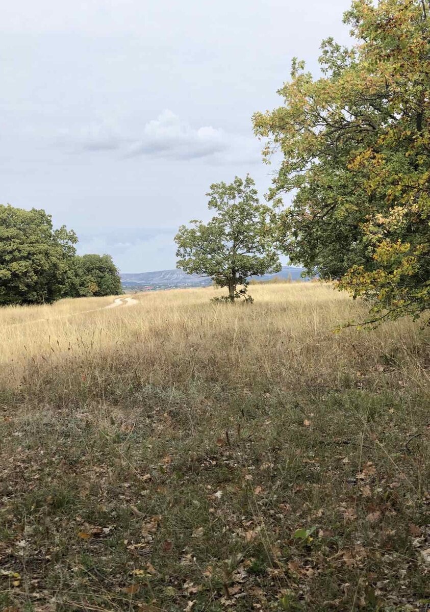 Фото из личного архива!