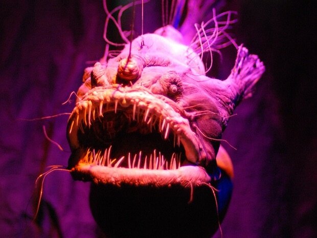 Источник фото: i.pinimg.com