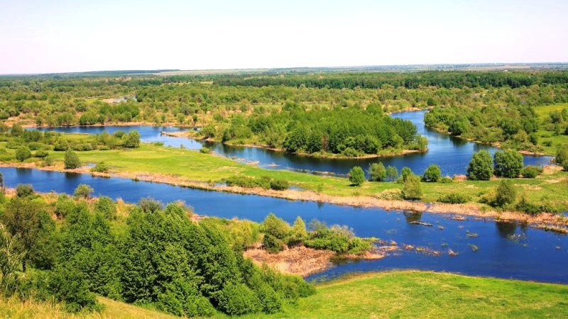 Государственный природный заповедник «Воронинский». Фото: vestitambov.ru