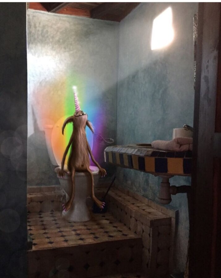 Иллюстрация использована с открытого источника https://instagram.com/lisanollenberger