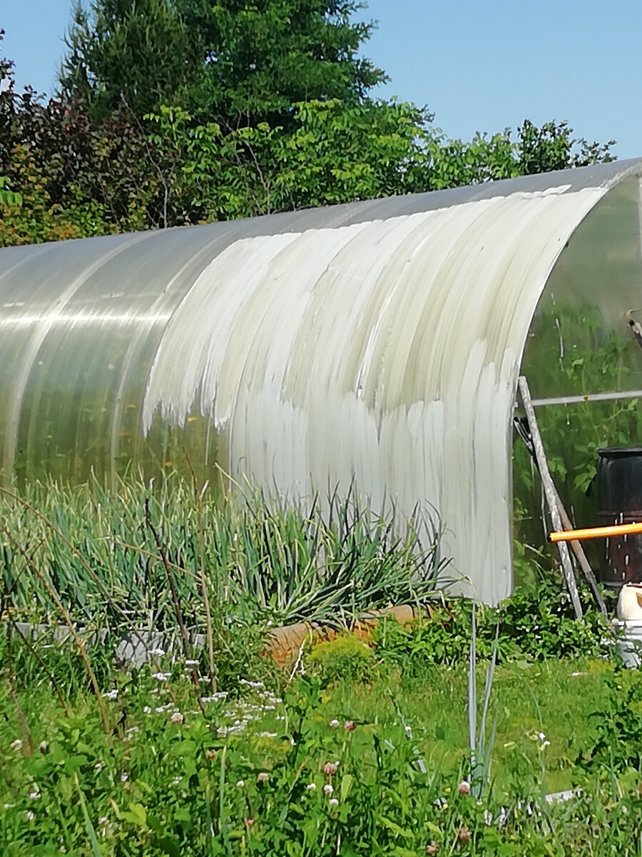 Пришлось защищать урожай от жары