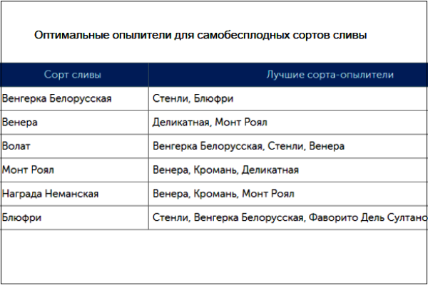 Опылители жимолости. Яблони опылители таблица.