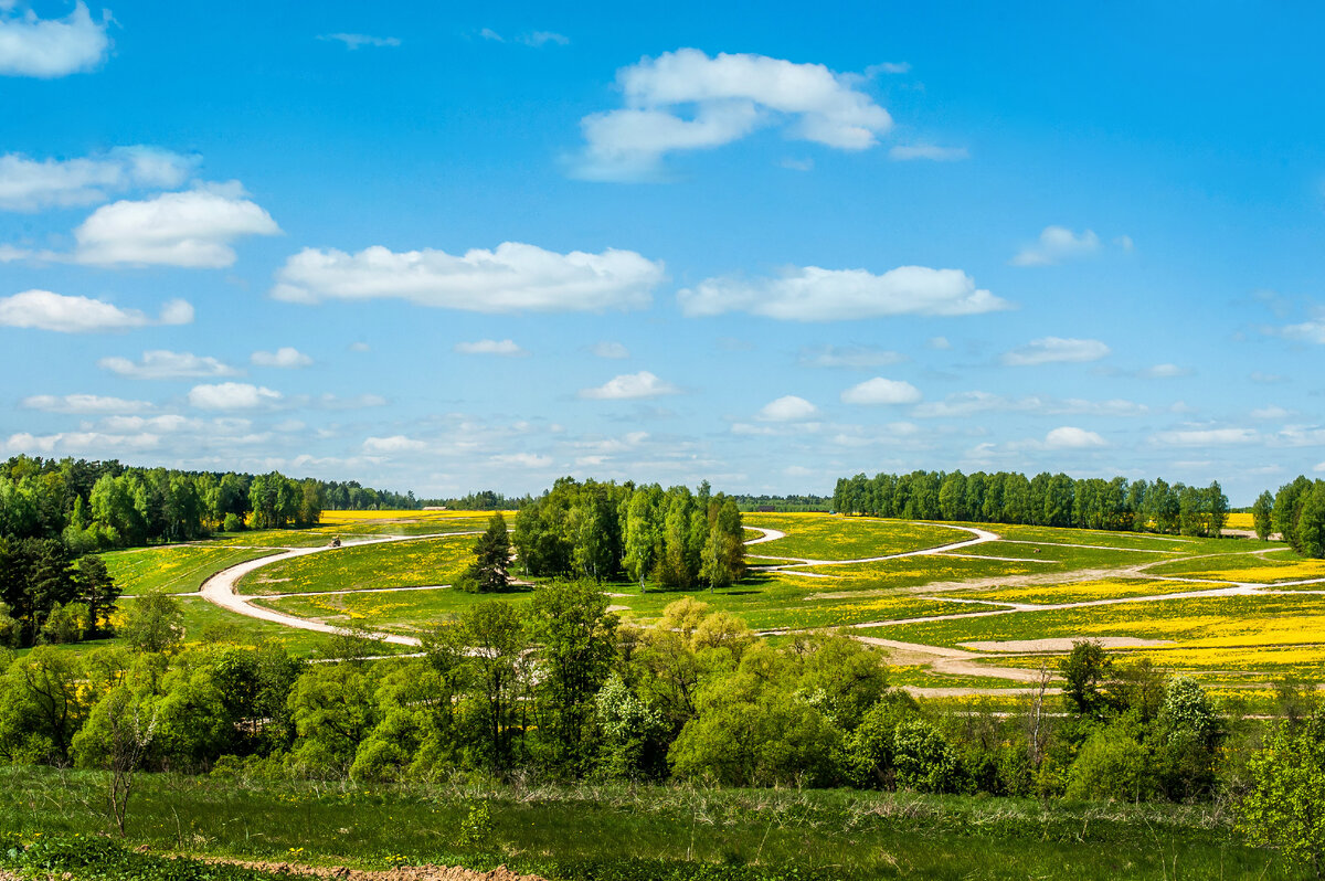 Дорога в КП Shelkovo Eco Club