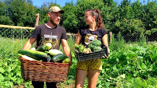 Собрали урожай с заброшенного участка. Привезли зерно для животных и ...