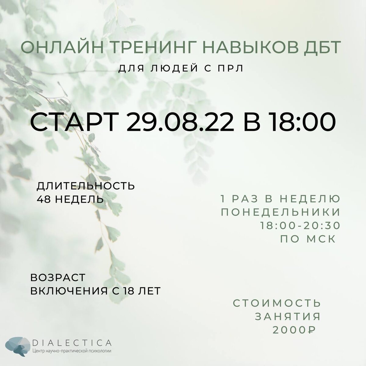 Обучение дбт. Обучение дбт