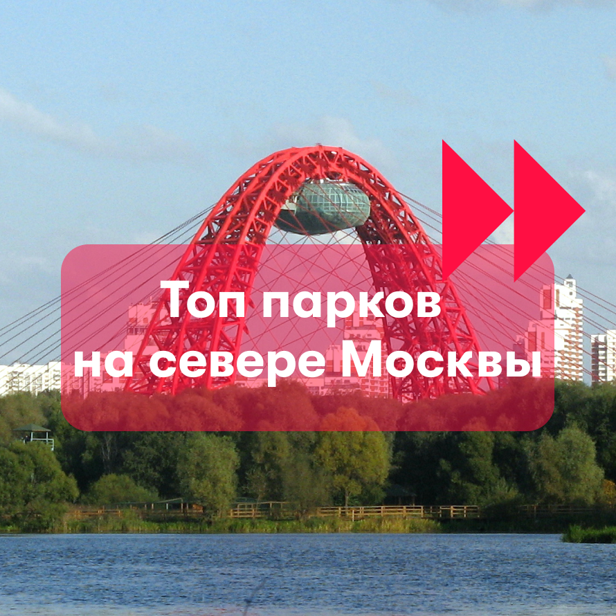 Север Москвы: гид по паркам | Карьера в Правительстве Москвы | Дзен