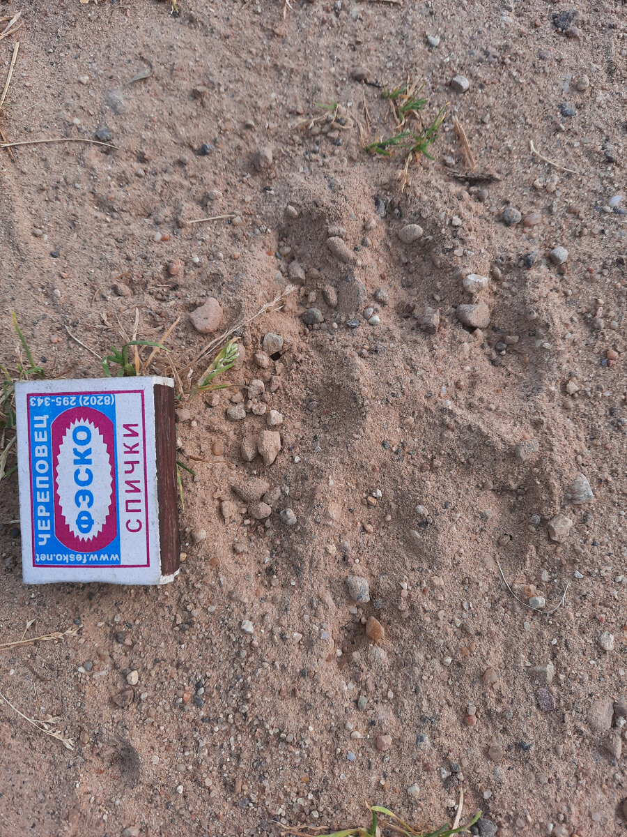 Снимок сделан центре деревни.