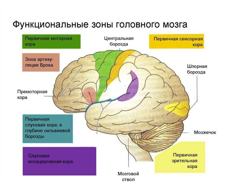 Сенсорная карта объекта