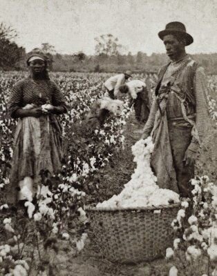 Фото из открытых источников. Работа на плантациях XIX век.