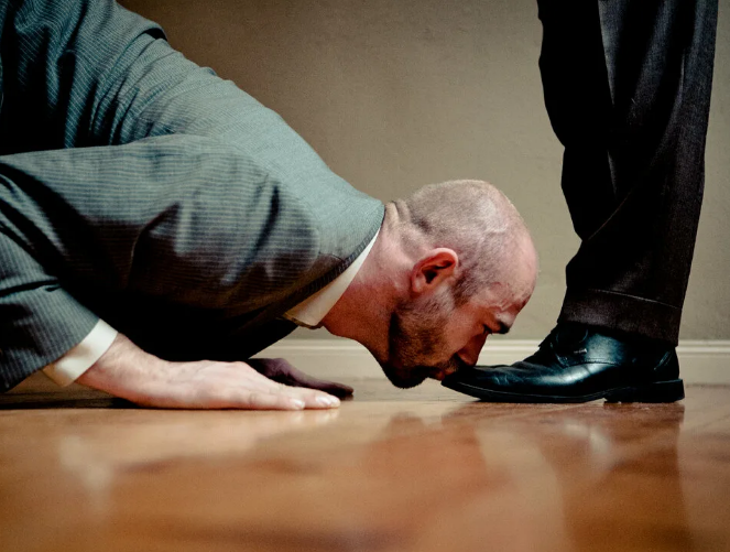 Яндекс. Картинки.