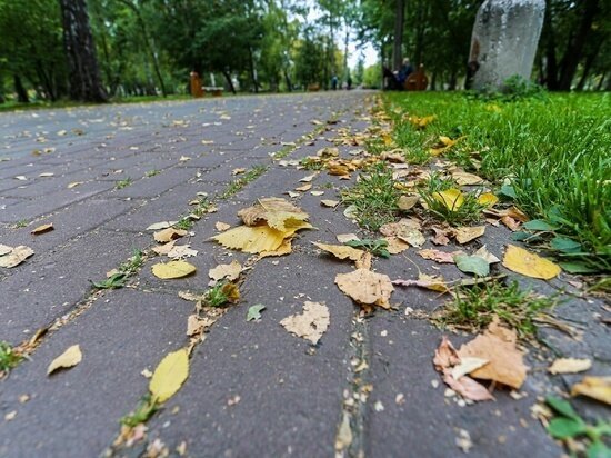     фото густаво зырянова