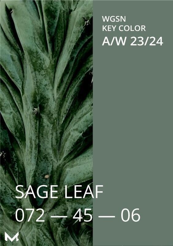 Цвет "Sage leaf"