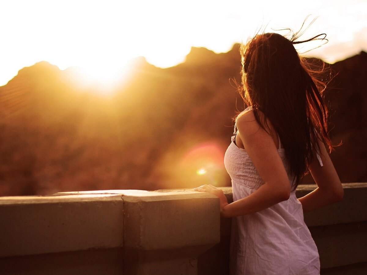 Яндекс. Картинки.