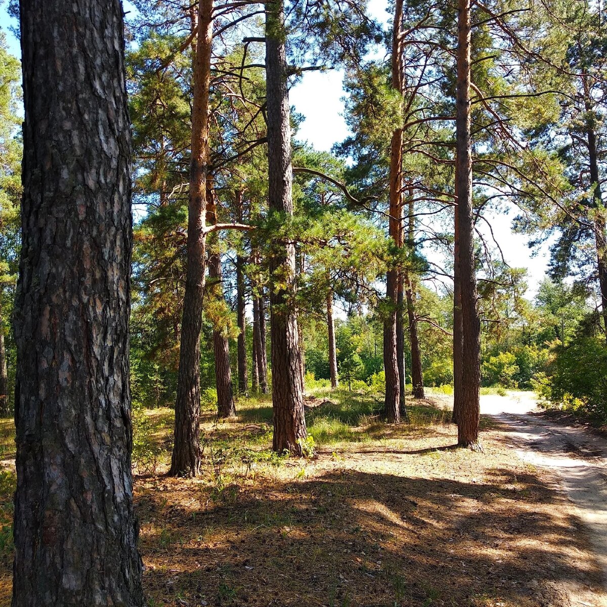 Ставьте лайк и подписывайтесь на мой канал:)