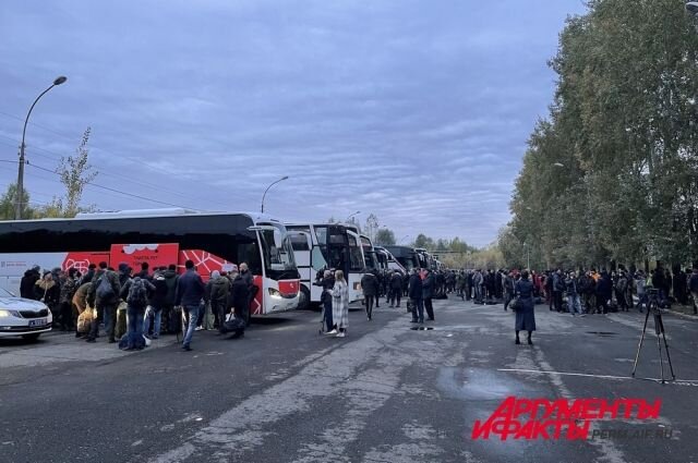    В зону СВО отправят всех мобилизованных в Пермском крае?