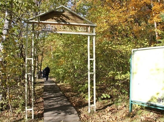     В Хабаровском крае туристов готовы отправить в заповедник, где живут тигры и медведи ФОТО: Закдума Хабаровского края