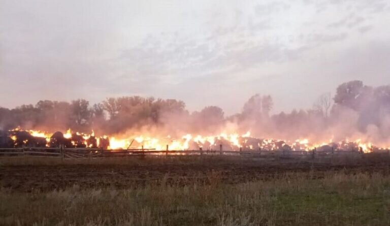    В Саракташском районе сгорели сено и солома на площади 1200 квадратных метров Кристина Просвиркина