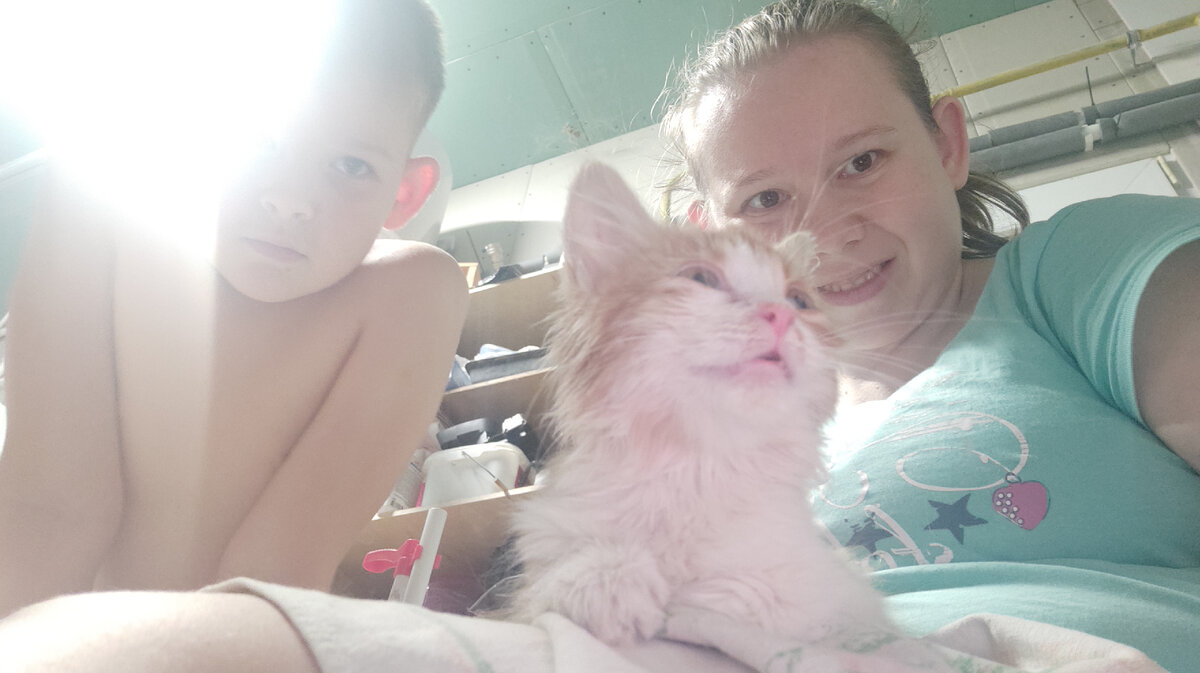  Кефир блаженный и радостный.