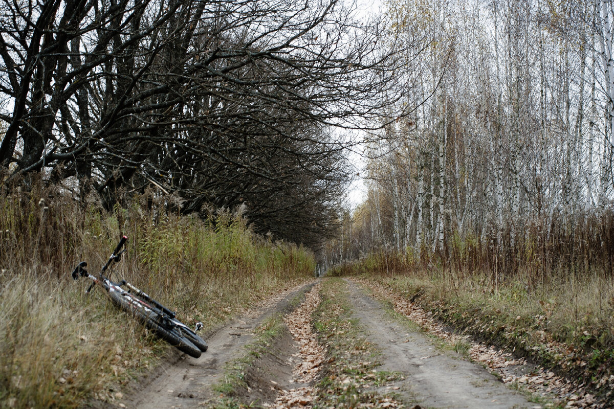 Продолжаем движение