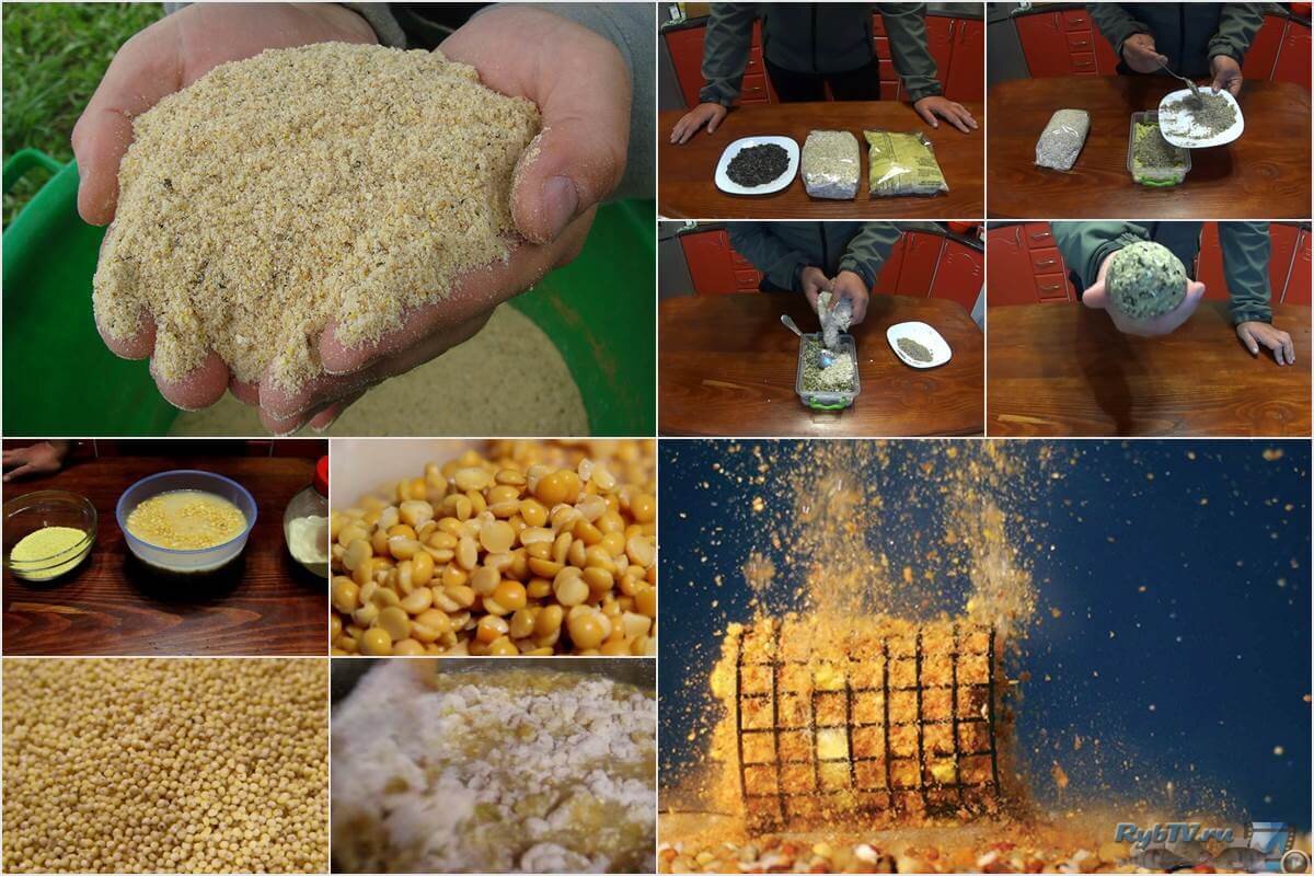Приманка в кормушку для карася своими руками