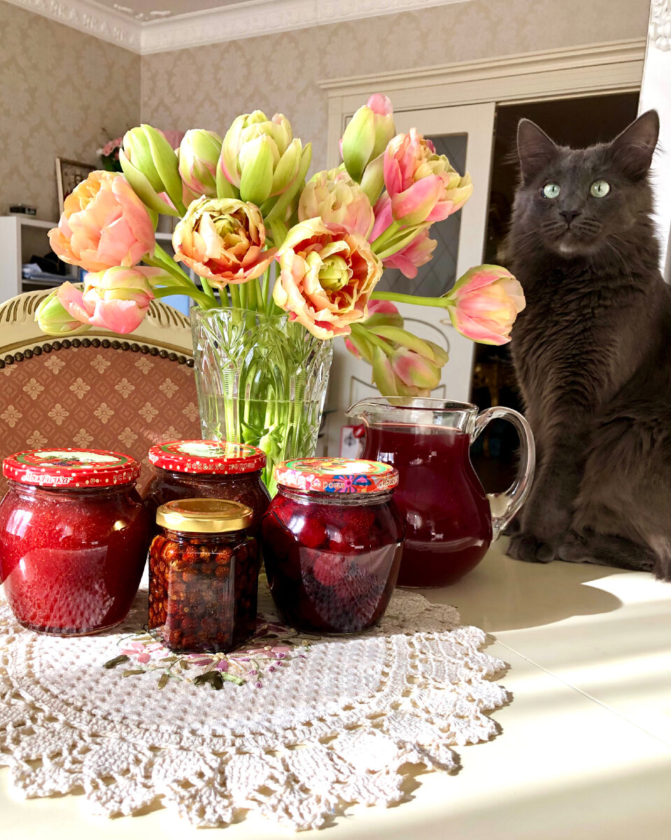 Варенье и моя котобулочка 🐈‍⬛