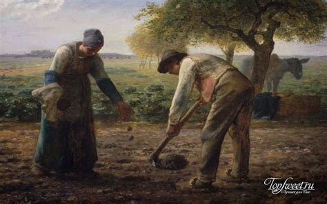 Изображение взято из открытых источников