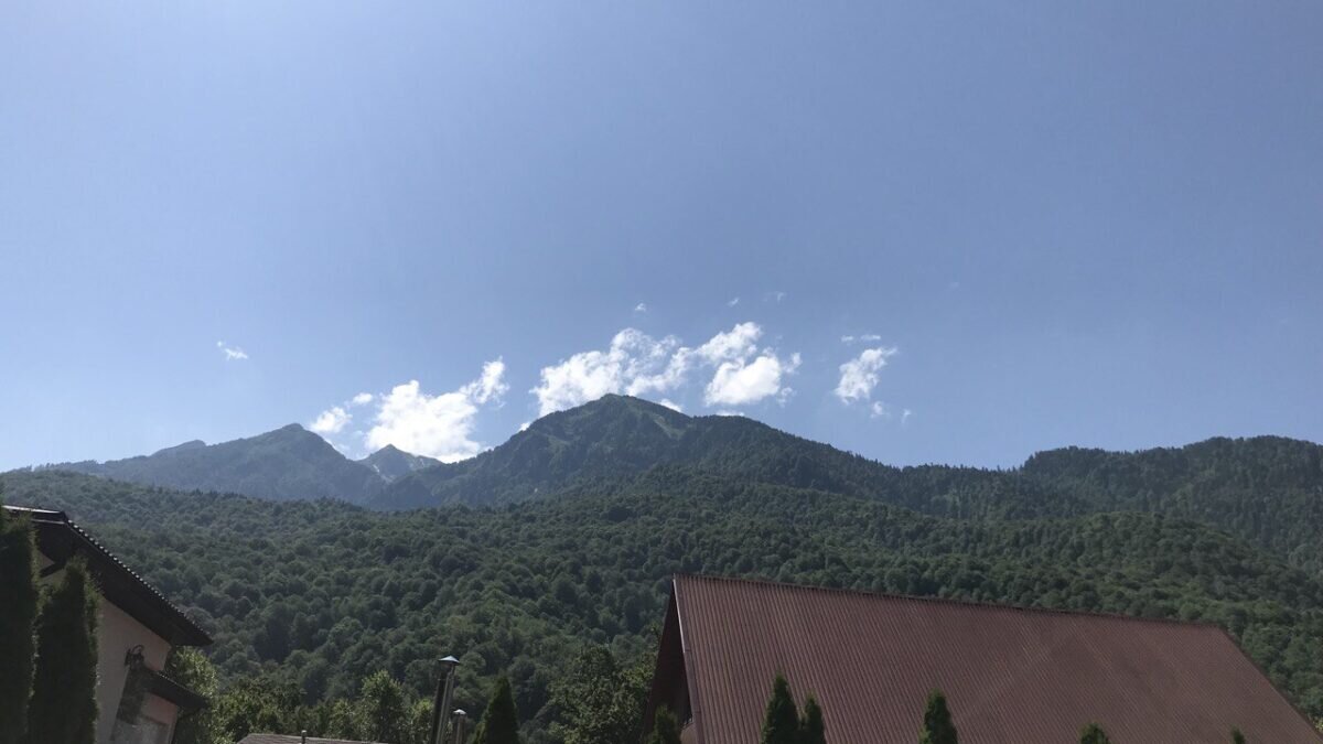 ООО «СДК»📷
