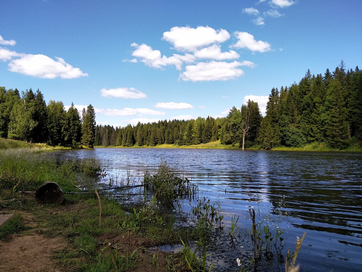 Красоту природы вам в ленту