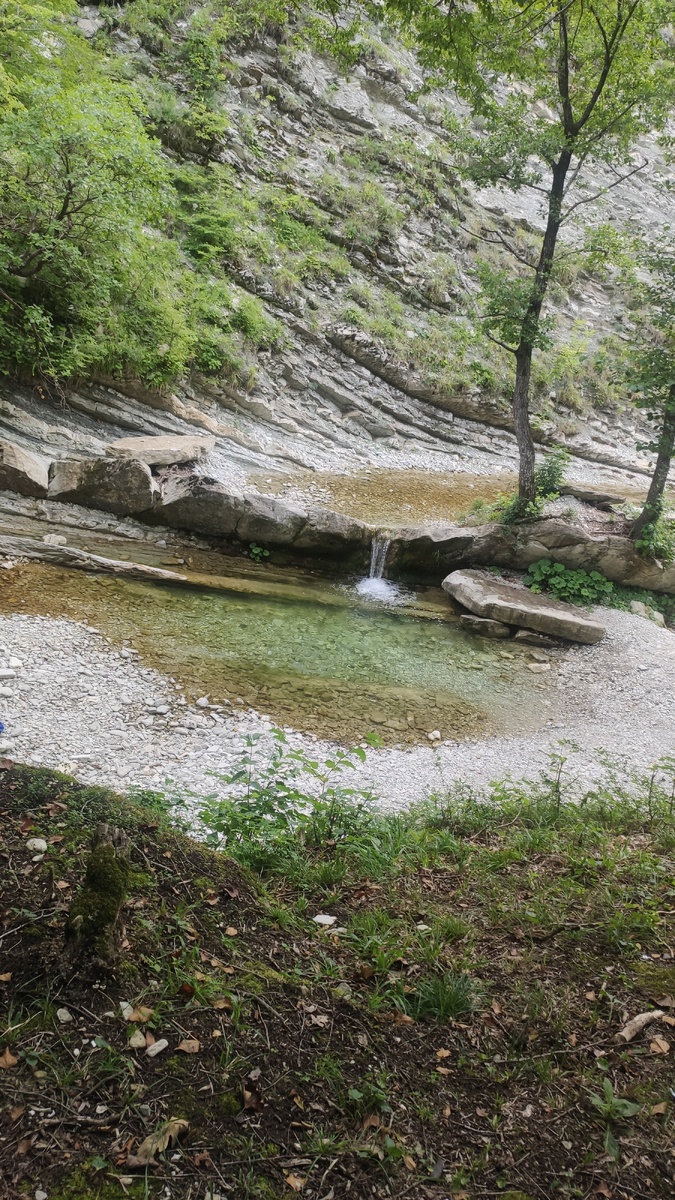 Ольгинка, Краснодарский край. 