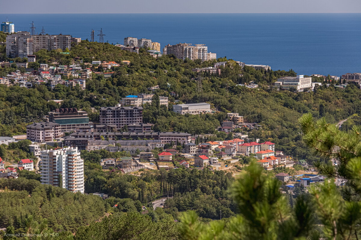 Пгт ялта. Ялта район Массандра. Массандра с моря. Массандра видовая. Виды Ялты.