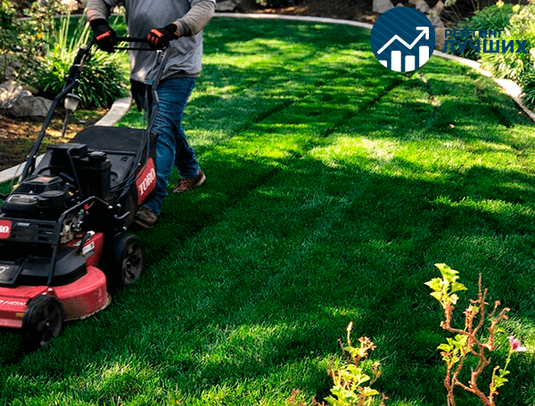 Рейтинг лучших аккумуляторных газонокосилок