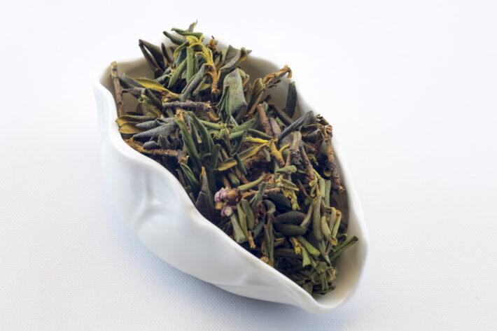 Полезными свойствами обладают листья и цветки рододендрона