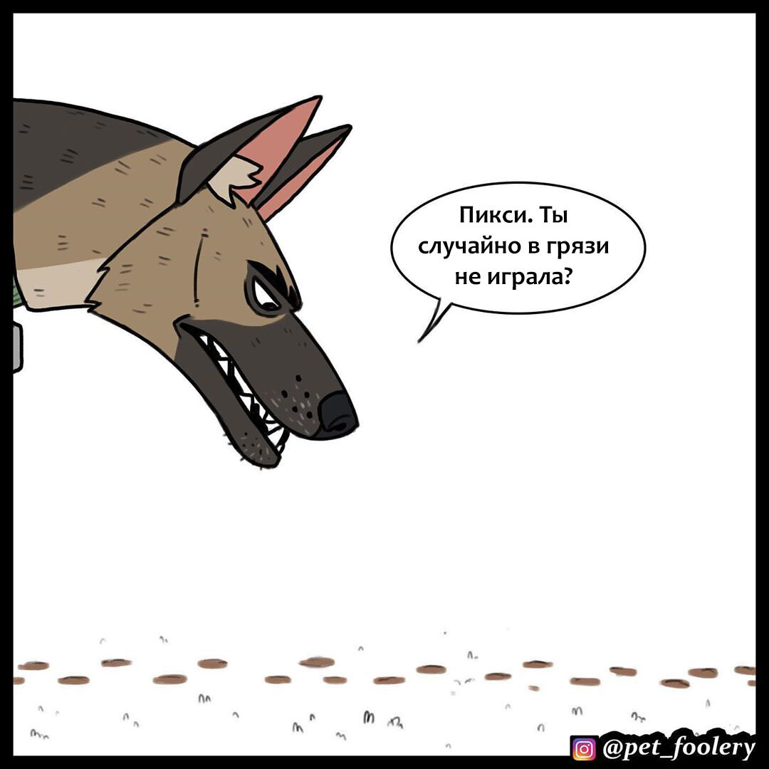 Источник: Инстаграм pet_foolery. Перевод: https://vk.com/pixie_and_brutus