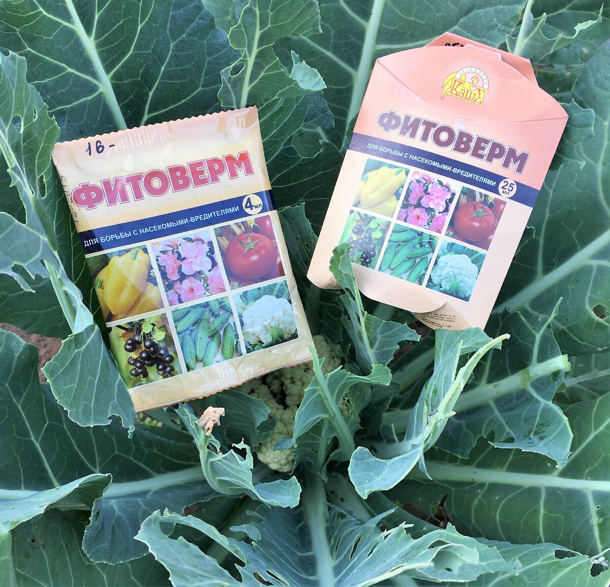 Фитоверм от гусениц на капусте
