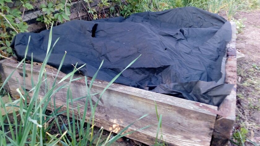 Компостная куча. Фото автора