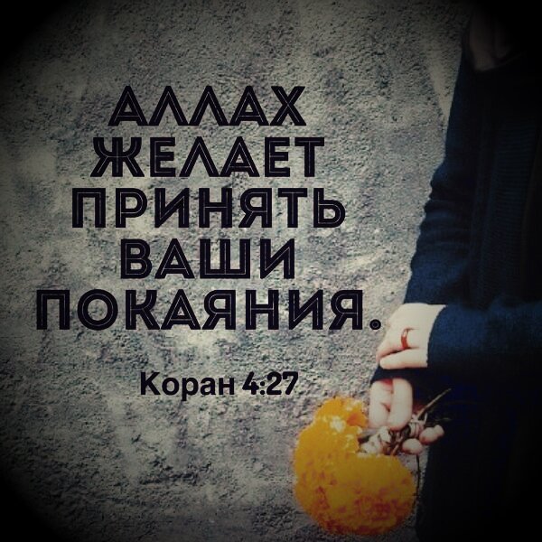 Фото из открытого источника 