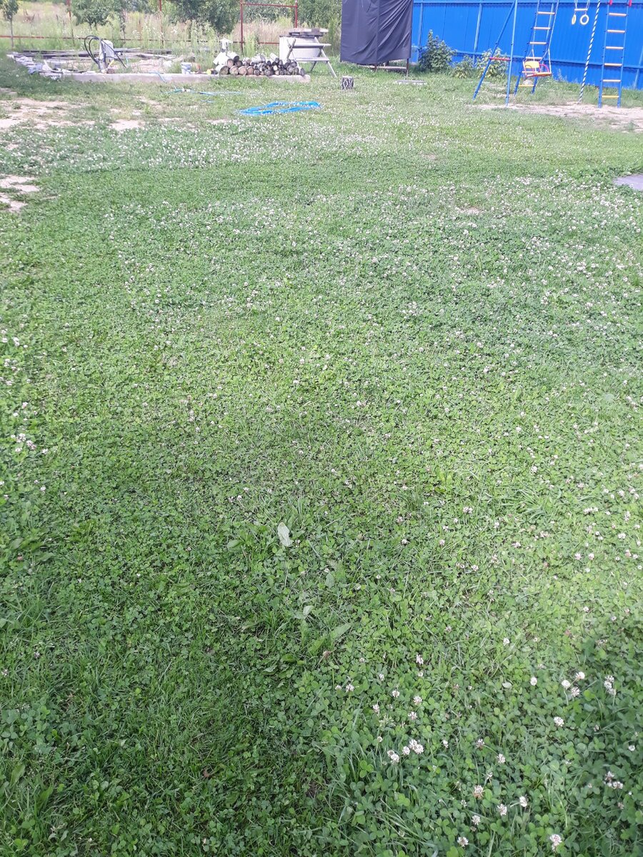 Личное фото автора.