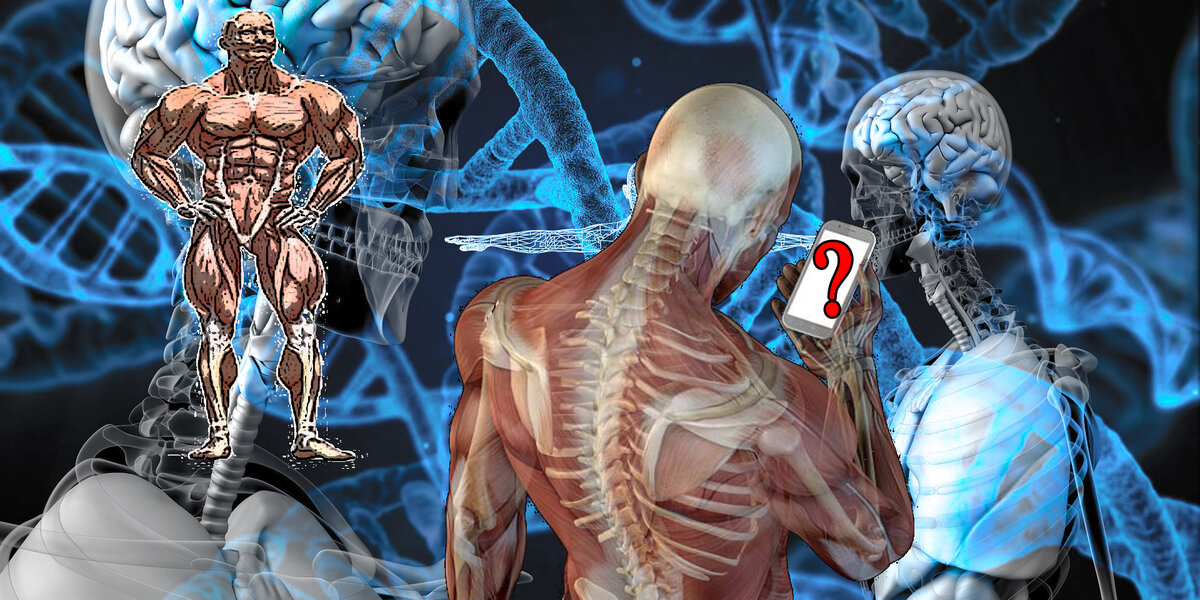 Источник: httpspixabay.com 