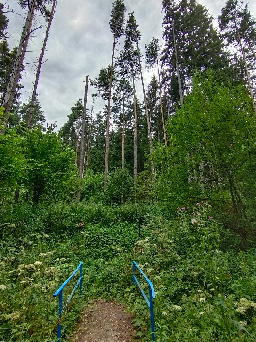 Крест черный, еле заметен. Если присмотреться, справа.