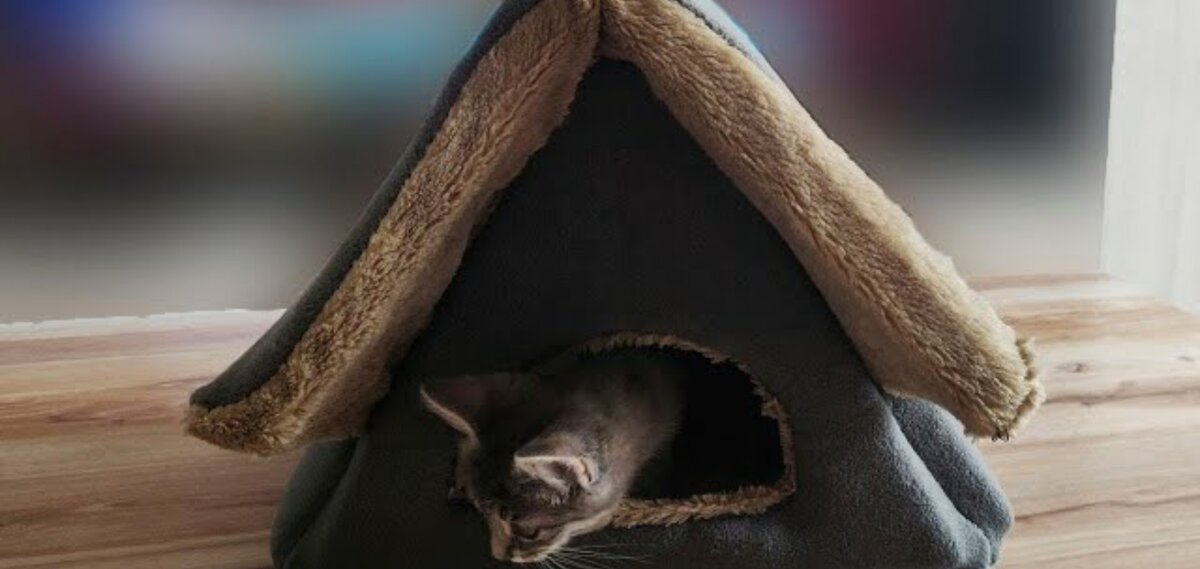Сшить дом для кошки своими руками пошагово - картинки и фото ростовсэс.рф